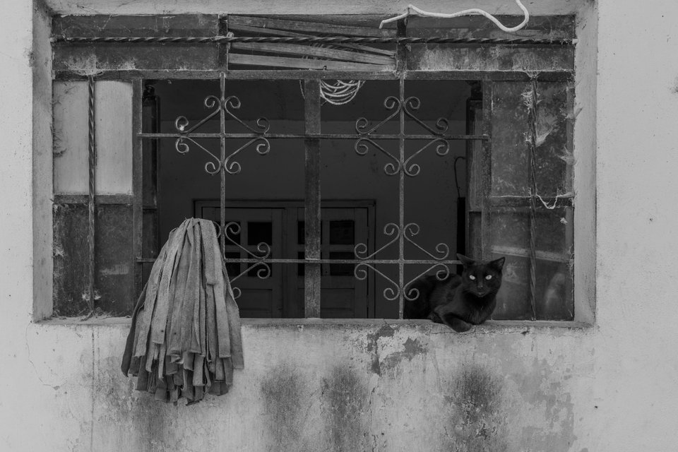 Black and white photo of a black cat sitting on a window ledge behind decorative wrought iron bars, with a hanging cloth mop to the left and a worn plaster wall below.
