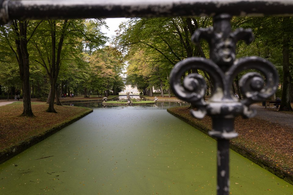 View along a narrow rectangular canal covered in bright green duckweed, bordered by stone edges and tall trees, with a black iron fence ornament in the right foreground and a building visible far in the distance.