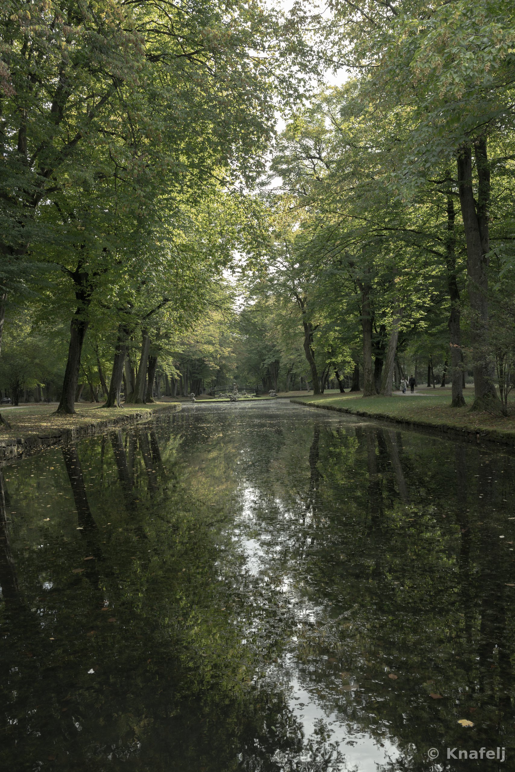 A calm canal flanked by tall green trees, with the foliage and sky mirrored in the still water and a pale opening visible at the far end of the path.