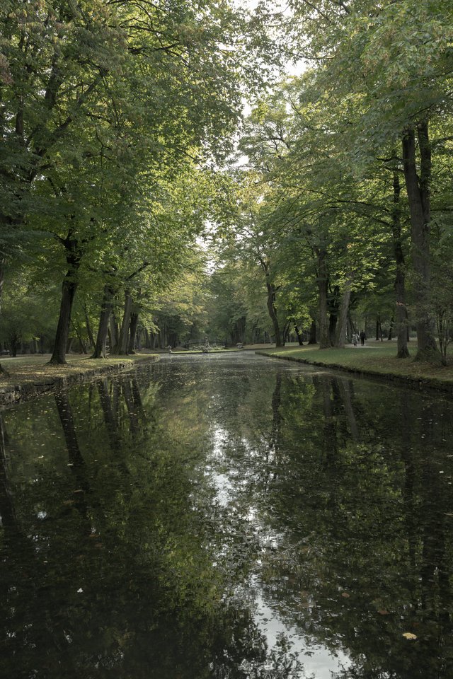 A calm canal flanked by tall green trees, with the foliage and sky mirrored in the still water and a pale opening visible at the far end of the path.