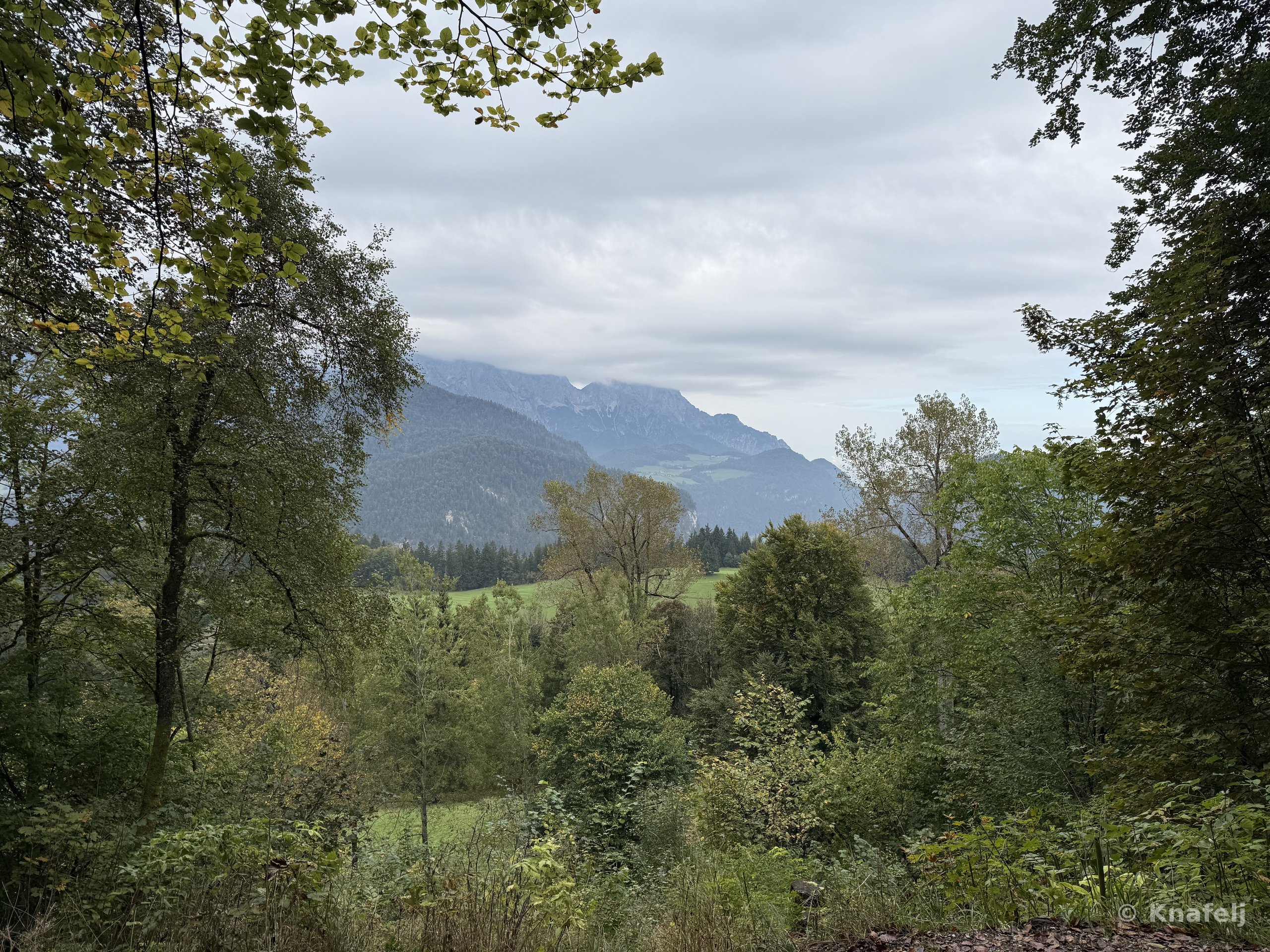 View through a gap in green trees toward a hazy mountain range, with forested hills and grassy clearings in the valley below beneath a cloudy sky.