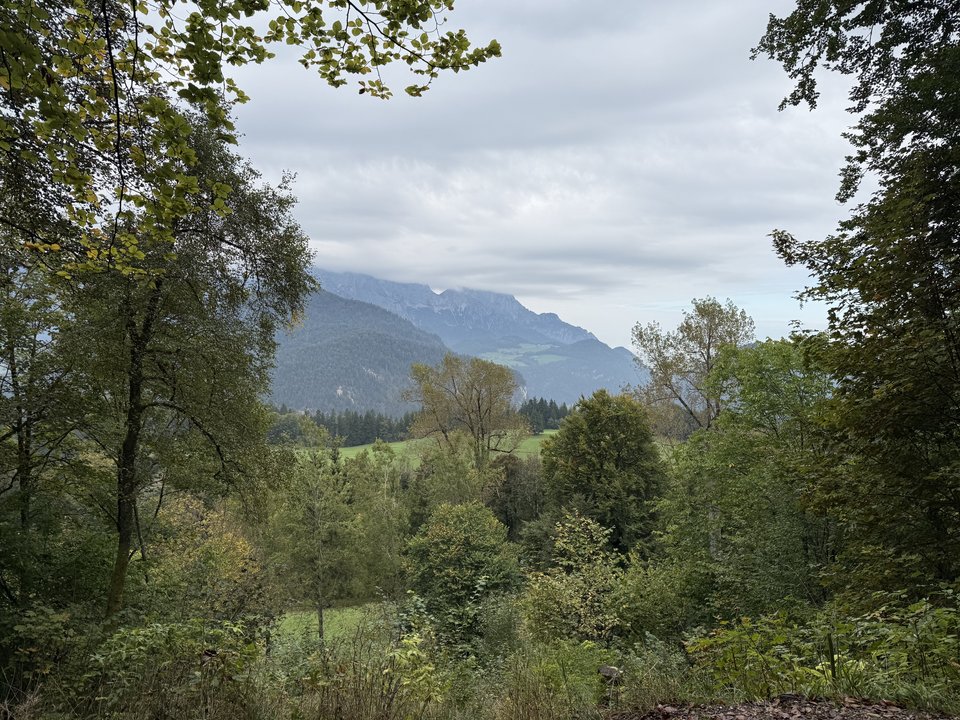 View through a gap in green trees toward a hazy mountain range, with forested hills and grassy clearings in the valley below beneath a cloudy sky.