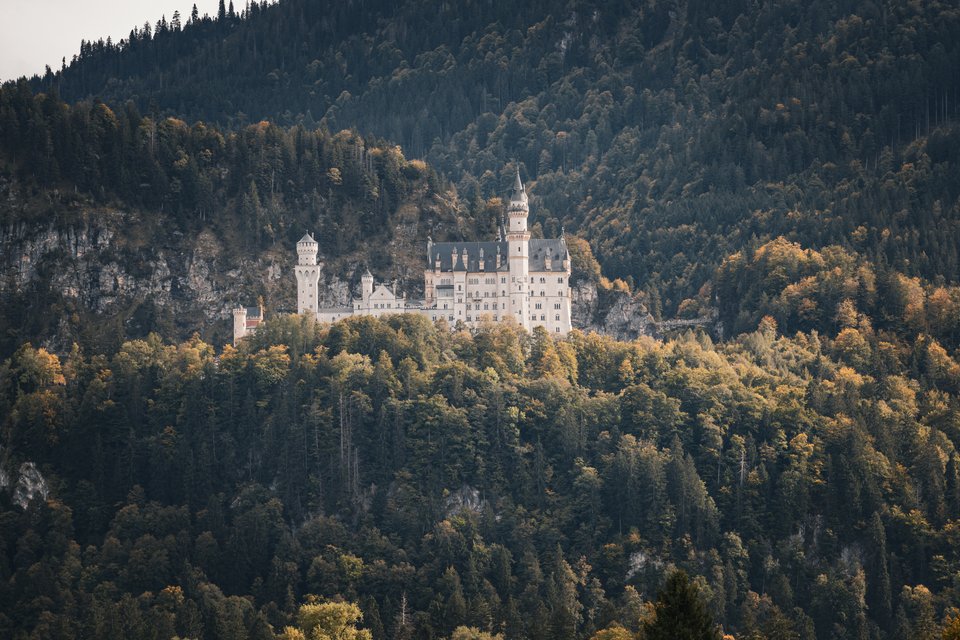 A white fairytale castle with tall towers perched on a rocky, tree-covered mountainside, framed by dense green and yellow autumn forest.