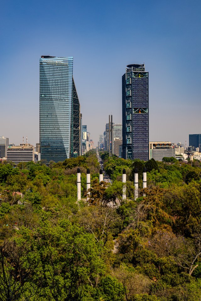 View of two tall modern glass skyscrapers towering over a dense green forest, with white stone columns of a monument visible among the trees and a clear blue sky above.