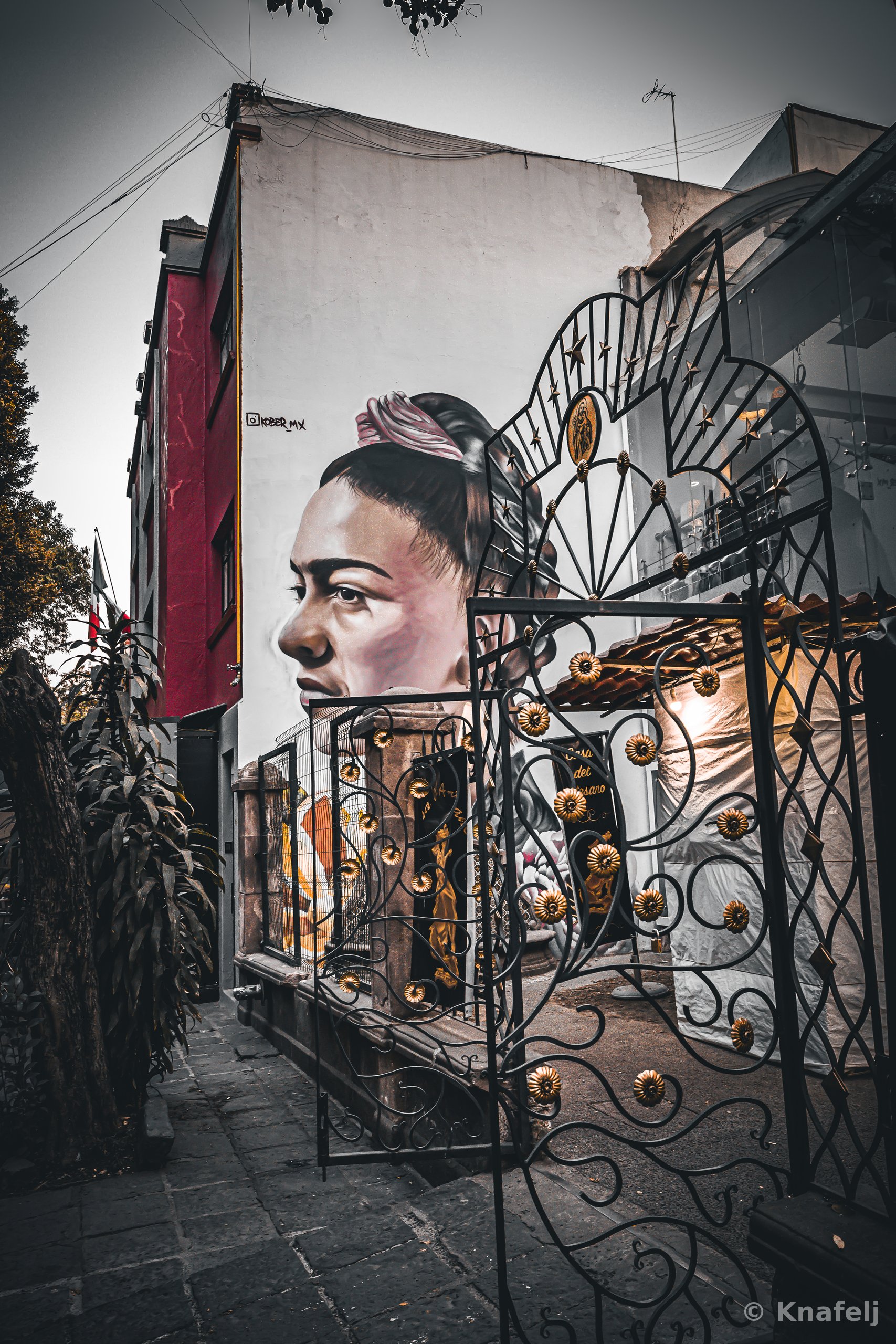 A large mural of a woman's face painted on a white building wall, partially seen through a black wrought-iron gate with gold flower accents. A red building and dry plants are nearby on a gray cobblestone street.