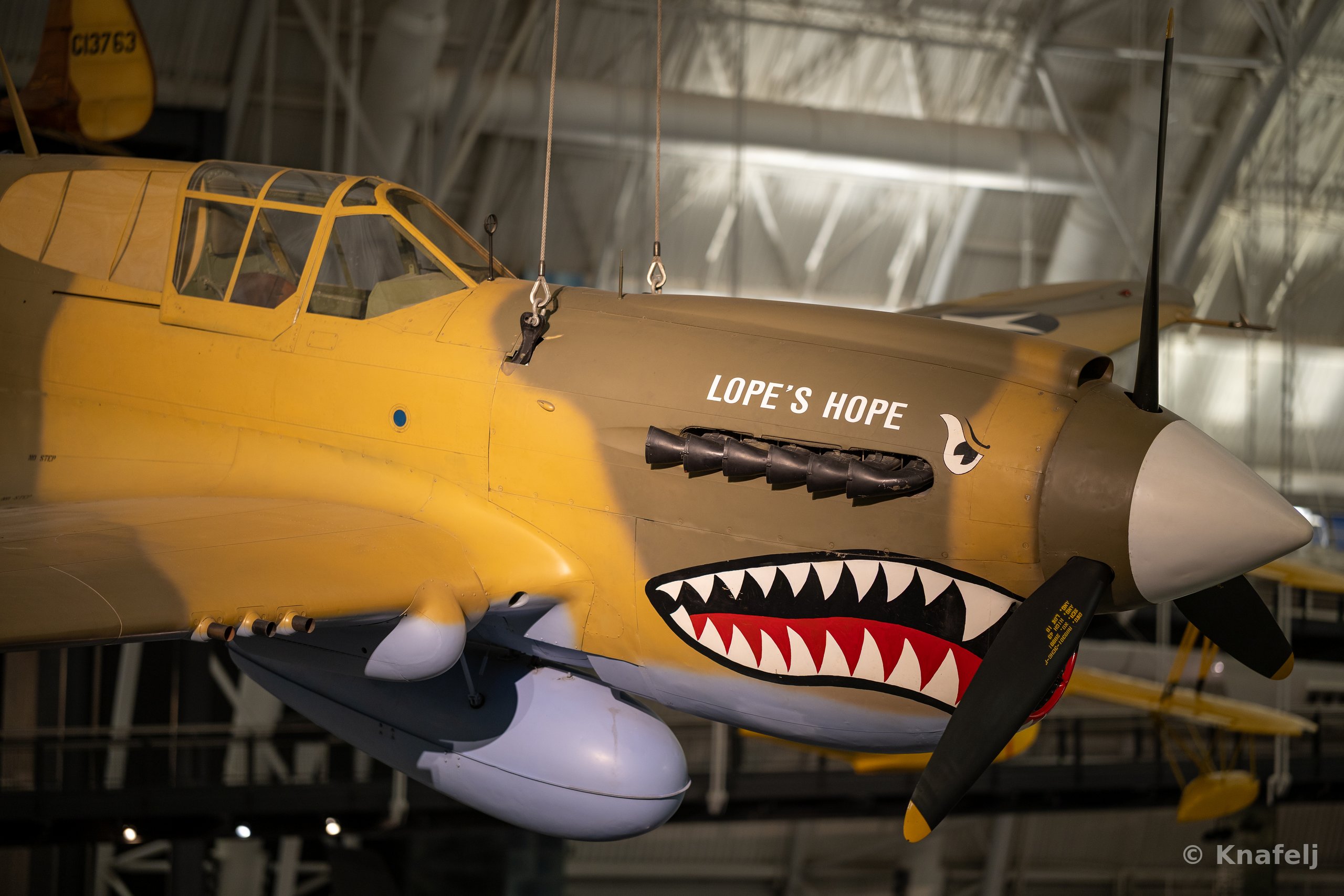 A suspended World War II era fighter aircraft with shark teeth painted on its nose and the text 'Lope's Hope' on the fuselage, displayed inside a museum with metal ceiling trusses overhead.