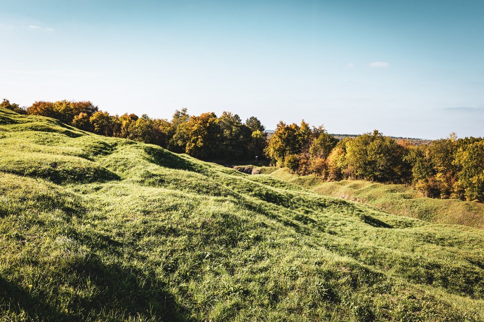 Grassy rolling hills bathed in warm light, leading to a row of trees with green and orange autumn foliage under a clear blue sky.
