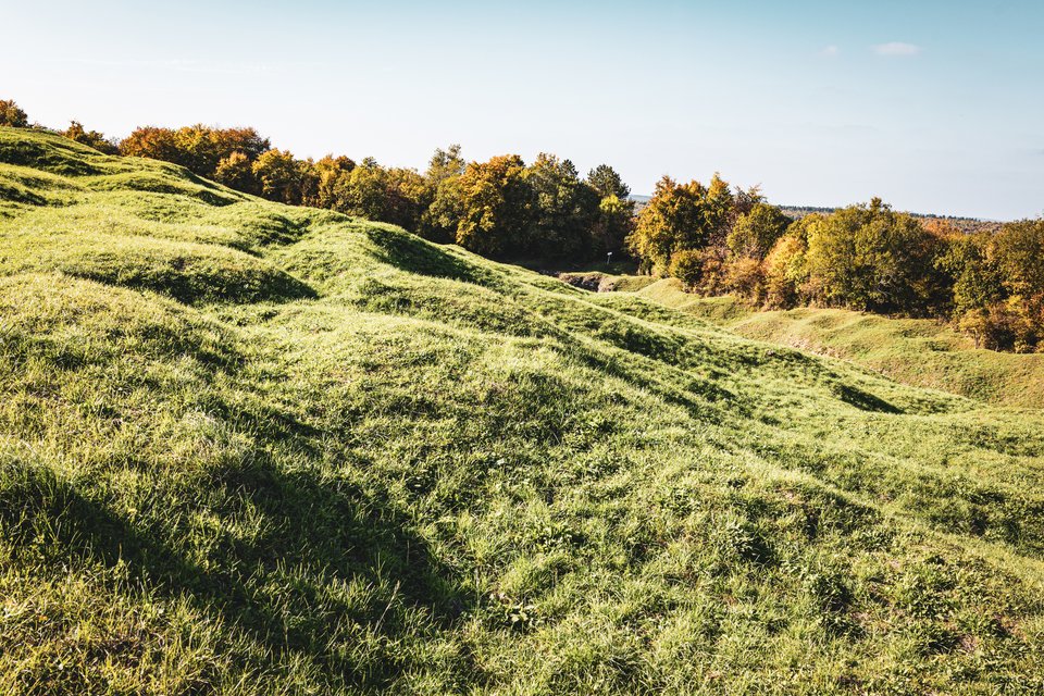 Green rolling hills with uneven grassy mounds and shadows, lined by trees with green and orange foliage beneath a pale blue sky.