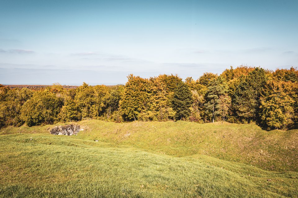 A grassy hillside in the foreground leading up to a line of trees in green, orange, and yellow autumn foliage, under a pale blue sky with faint clouds.
